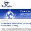 Blue Pointer Technologies - Austin, Texas