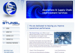 Stunsl Group - web site design austin - Princeton Illinois web designers
