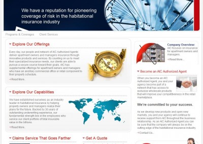 insurance website & logo design
